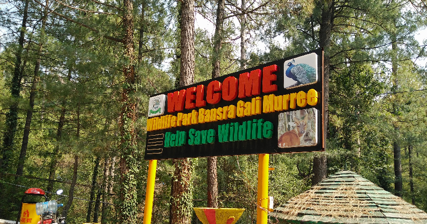 Murree Wildlife Park Ticket Price & Timing